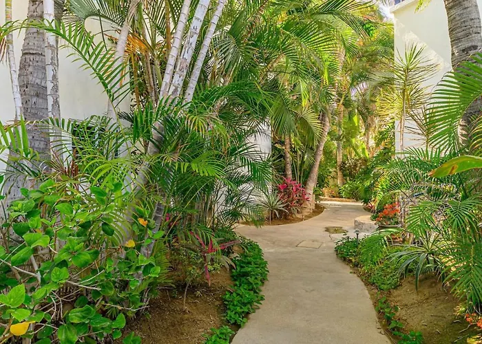 1bd-1ba Costa Azul Beachfront San Jose del Cabo