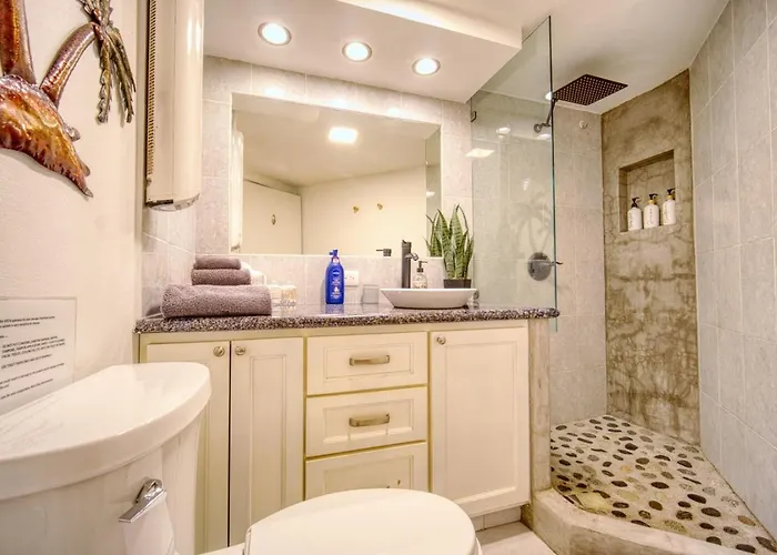 1bd-1ba Costa Azul Beachfront