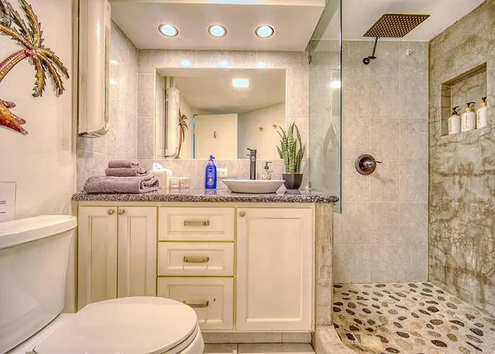 1bd-1ba Costa Azul Beachfront